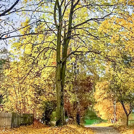 Prázdninový dům 2 Bedroom Awesome In *